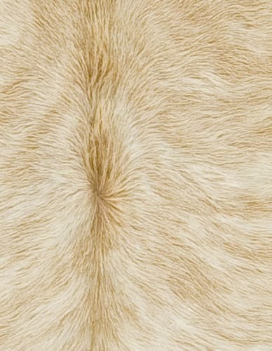 CHWBL-beige-brindle-detail.jpg