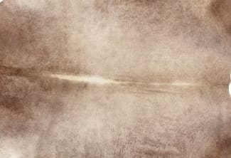 sand-natural-cowhide-CHSAND3.jpeg
